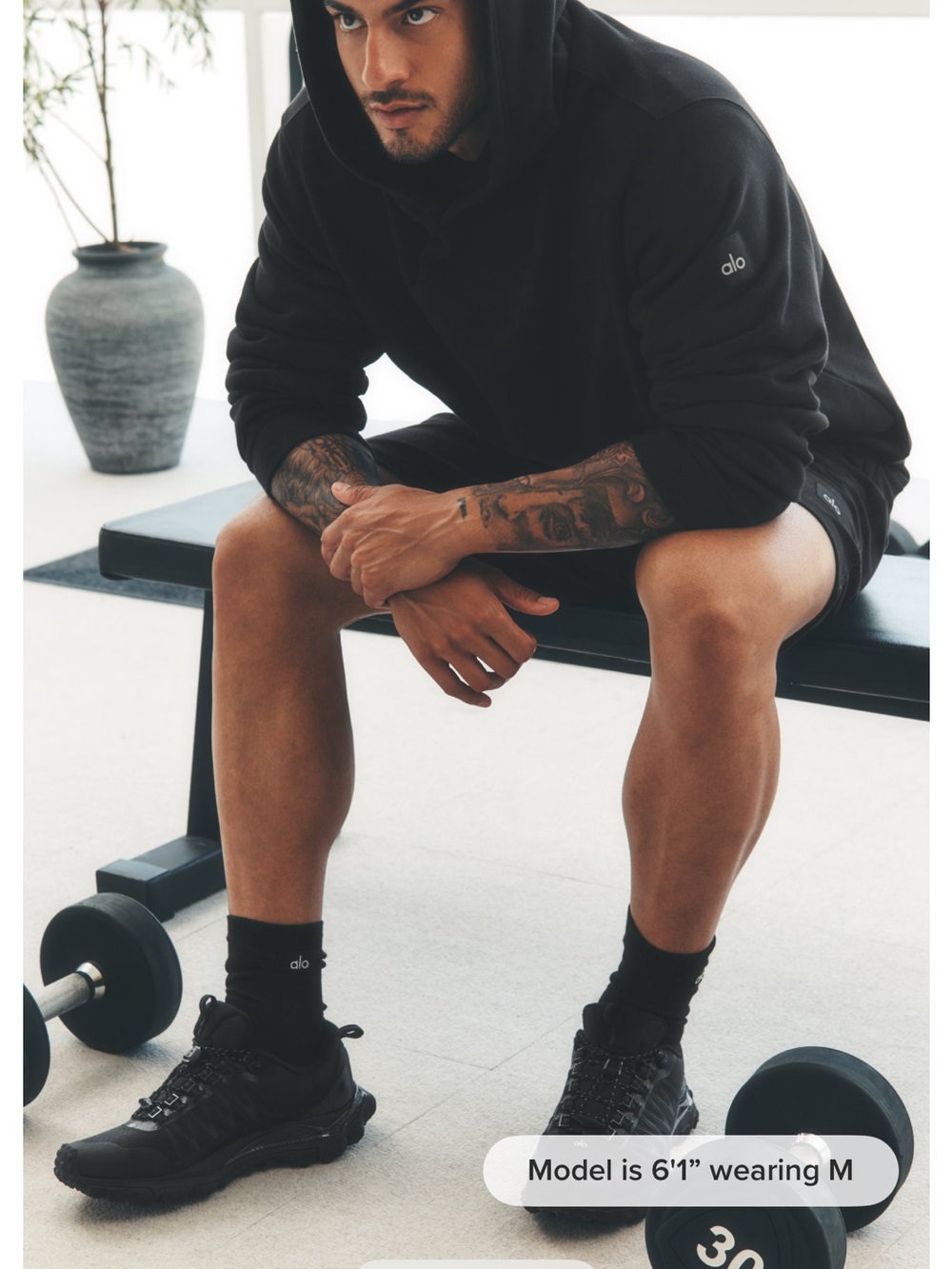 ALO Yoga Renown Heavy Weight hoodie